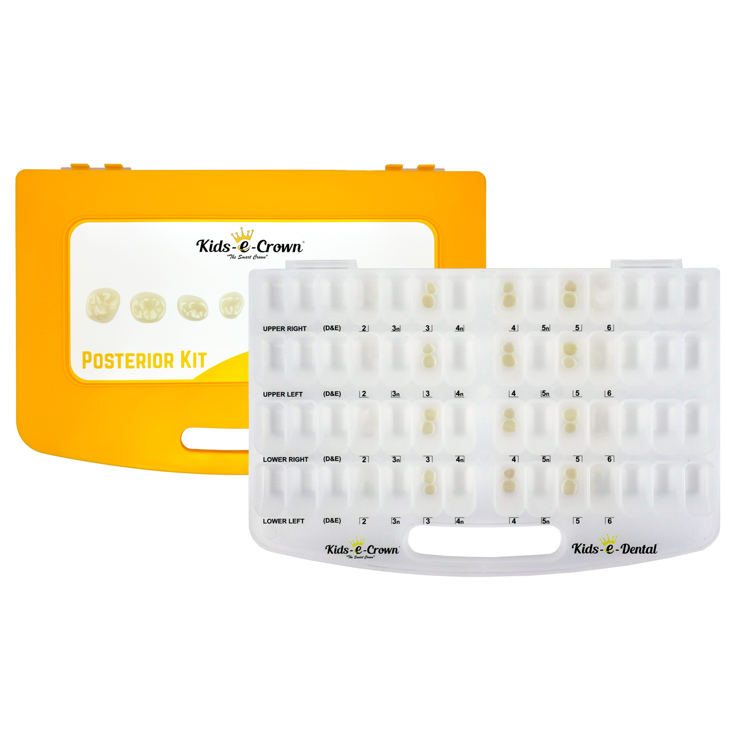 Kids-e-crowns Posterior Trial Kit