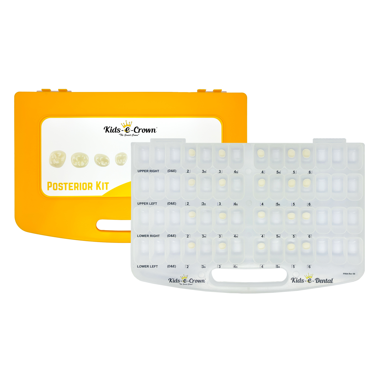 Kids-e-crown Second Molar Starter Kit