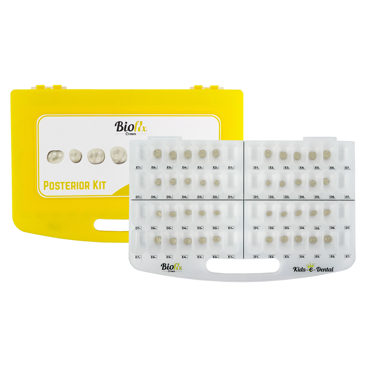 Bioflx Crown Posterior Starter Kit