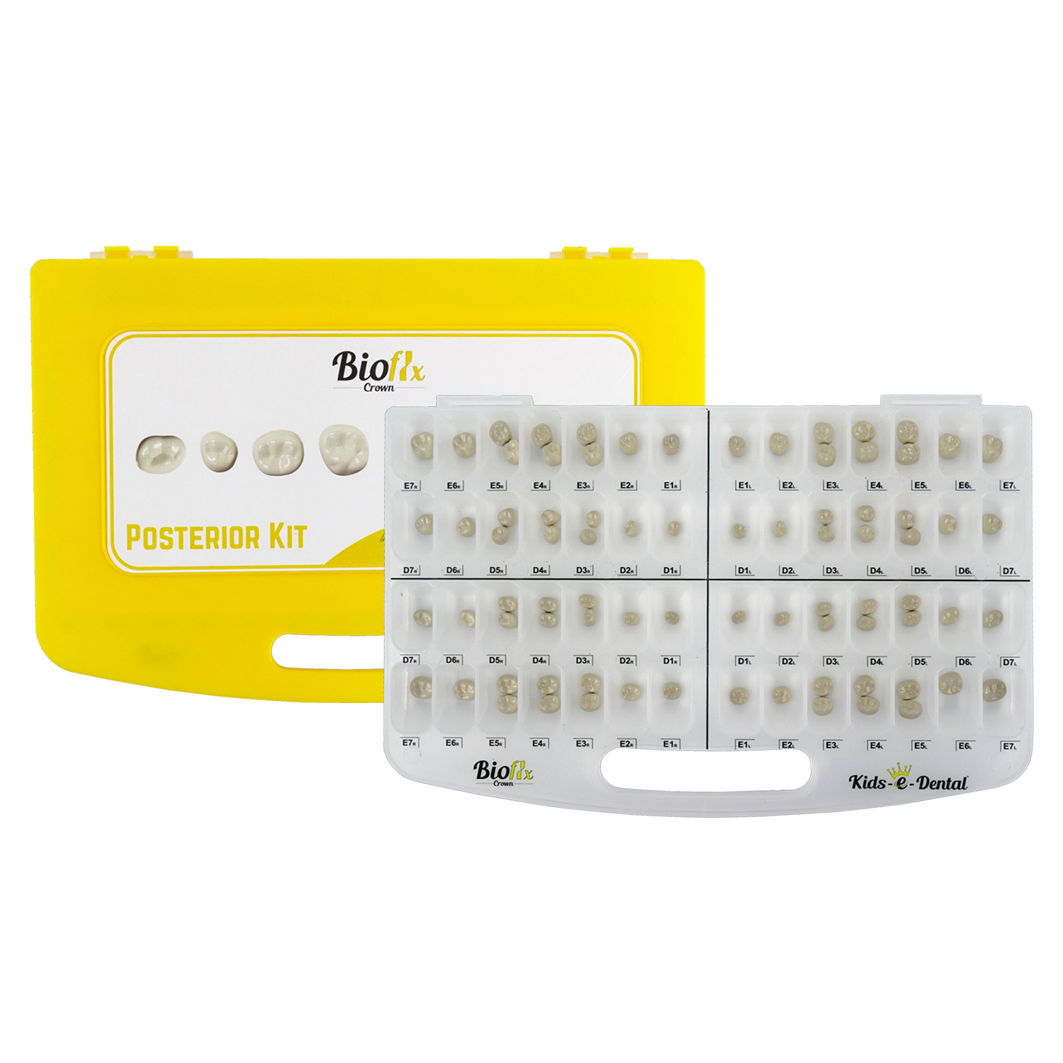 Bioflx Crown Posterior Professional Kit