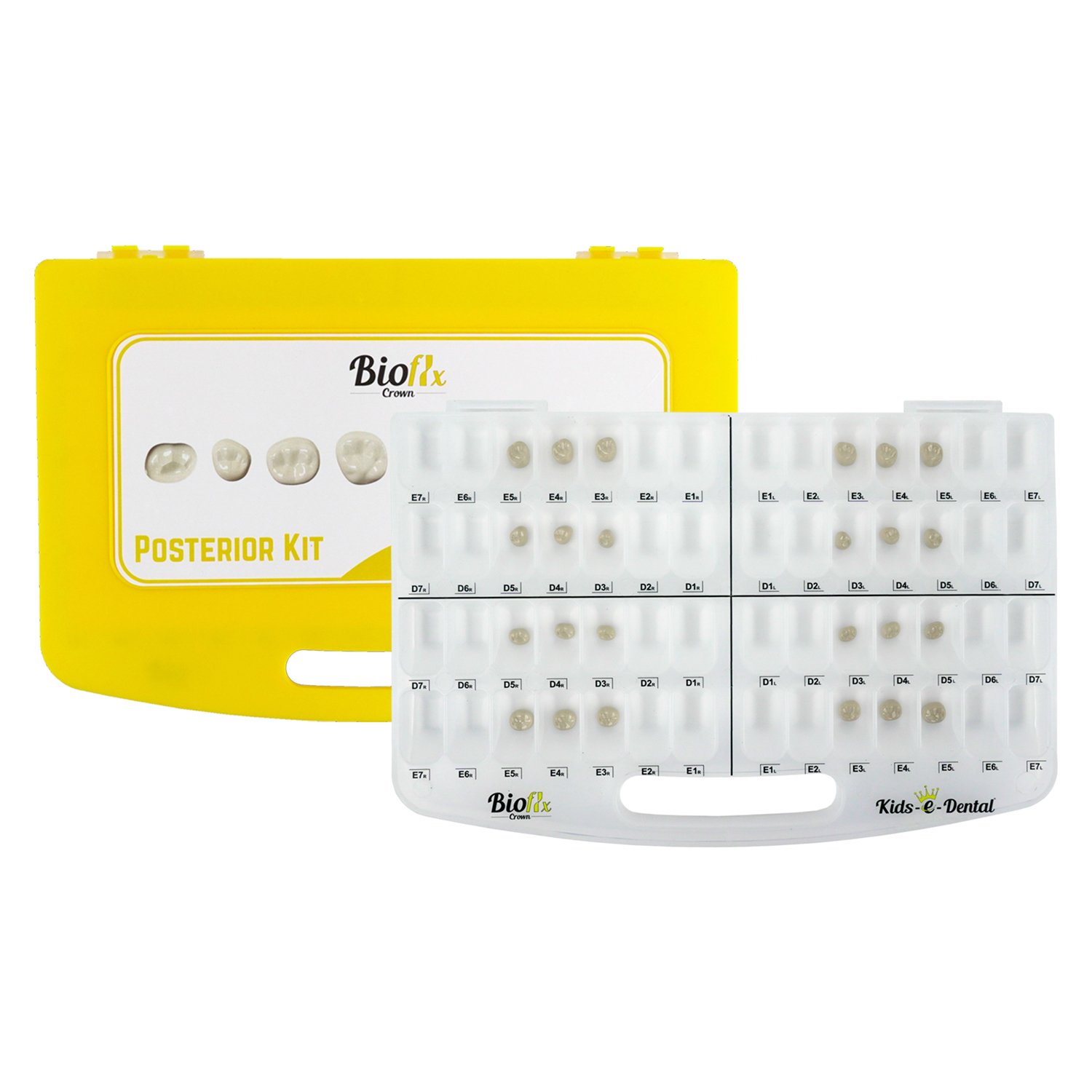 Bioflx Crown Posterior Trial Kit