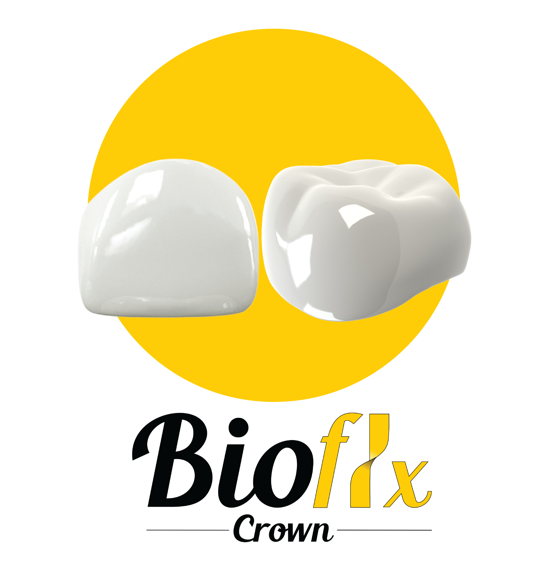 Bioflx Permanent Molar Crowns Master Kit